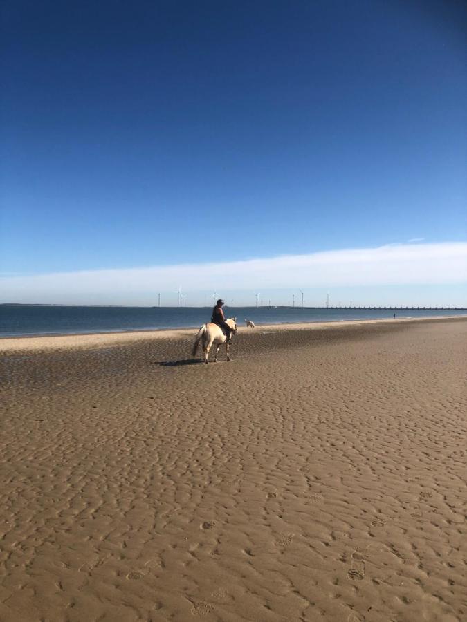 Dorpsdijk 49, Vrouwenpolder Vakantie Bagian luar foto