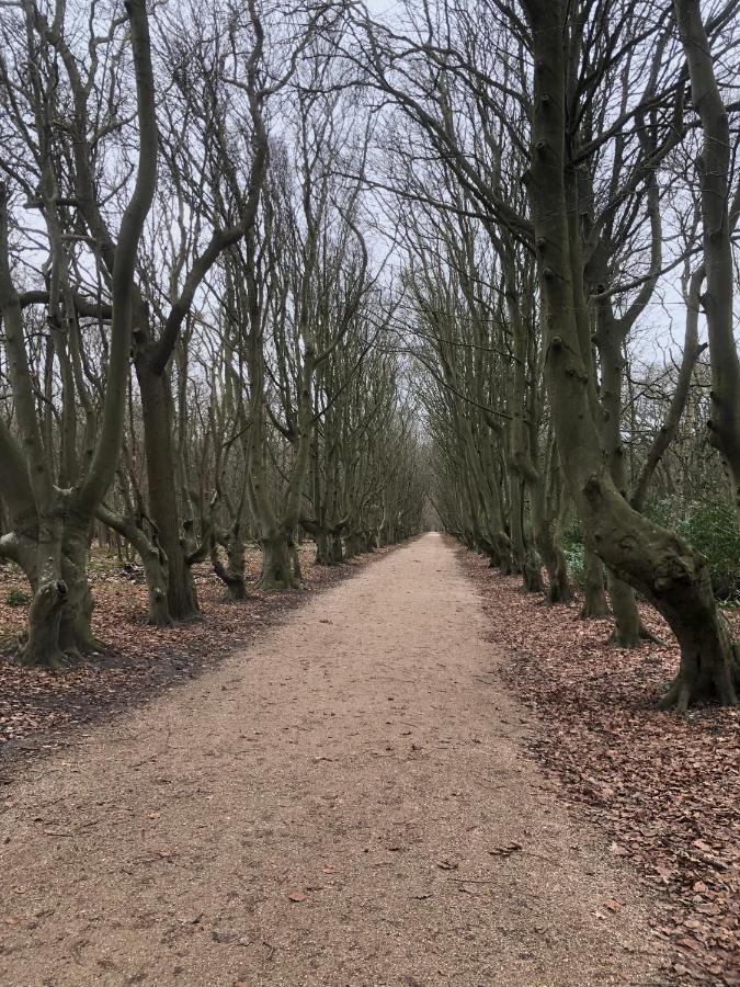 Dorpsdijk 49, Vrouwenpolder Vakantie Bagian luar foto
